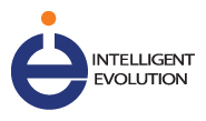 VeloPigs Sponsor - Intelligent Evolutions a Website Design and SEO Company